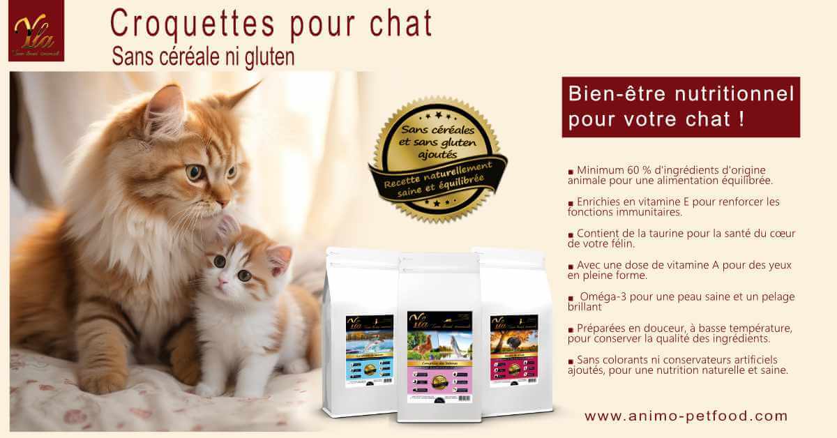 croquettes-chat-sans-cereale-ni-gluten